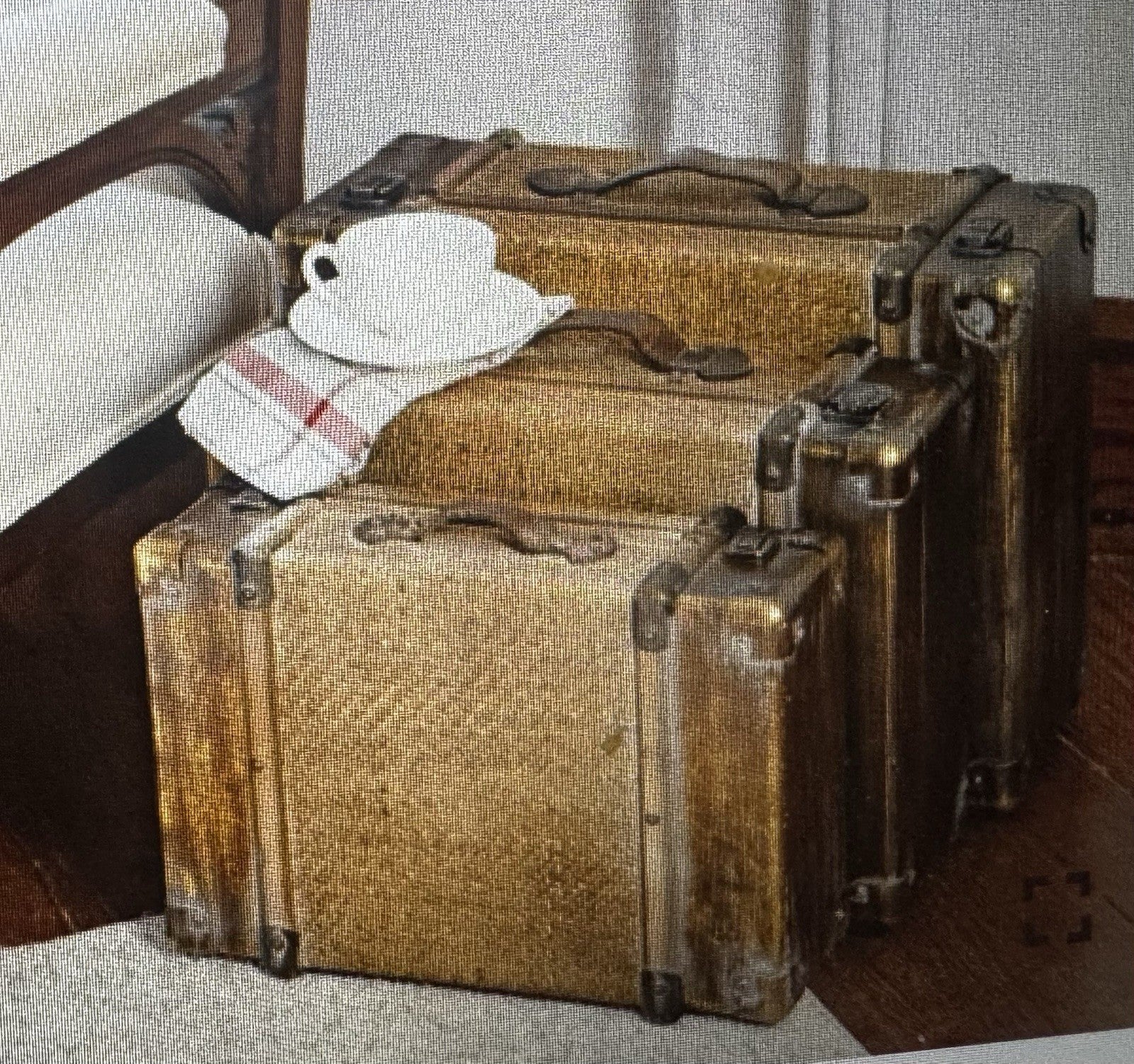 Image #3