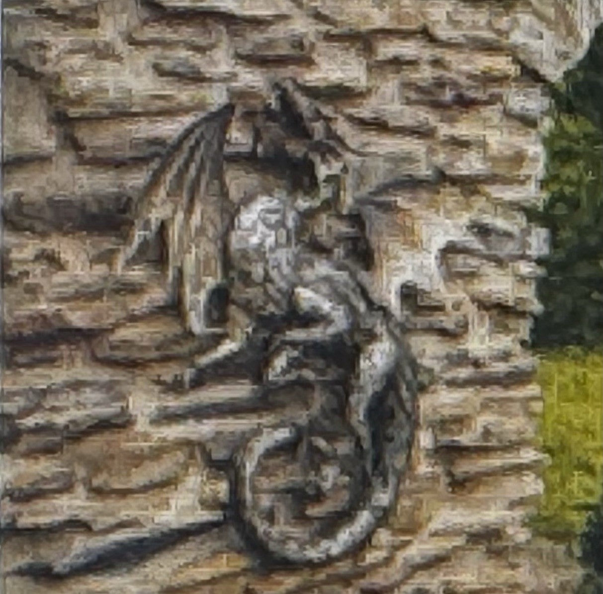 Image #5