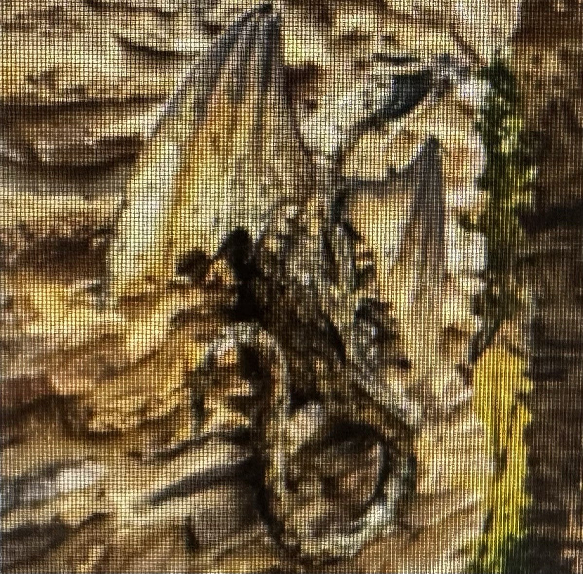 Image #8